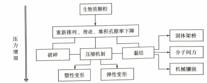 意甲直播cctv5