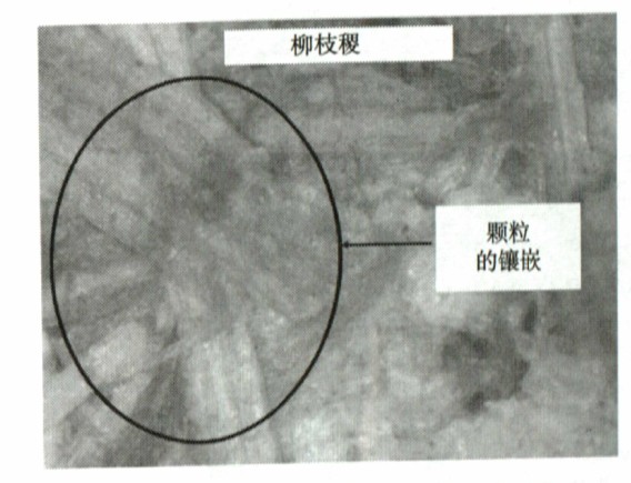 意甲直播cctv5