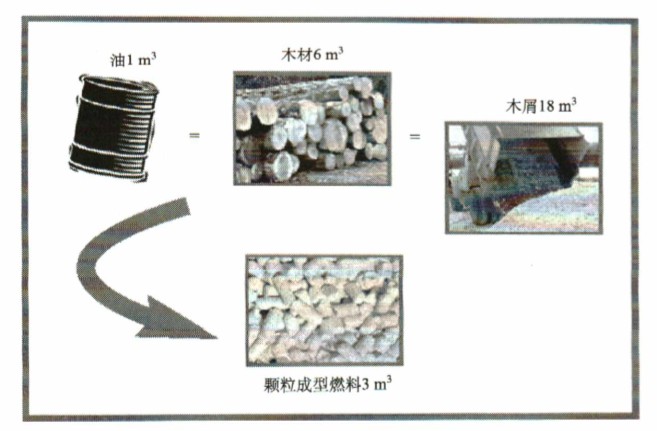 意甲直播cctv5