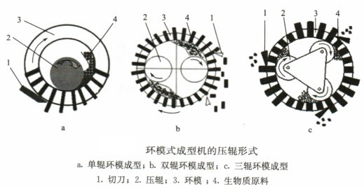 意甲直播cctv5