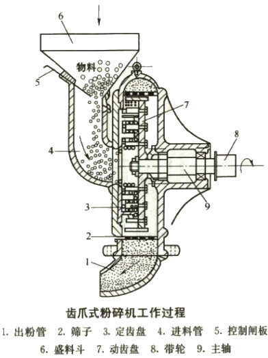 意甲直播cctv5