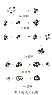 意甲直播cctv5