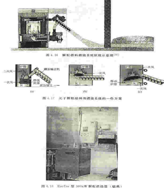 意甲直播cctv5