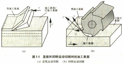 意甲直播cctv5