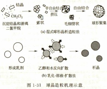 意甲直播cctv5