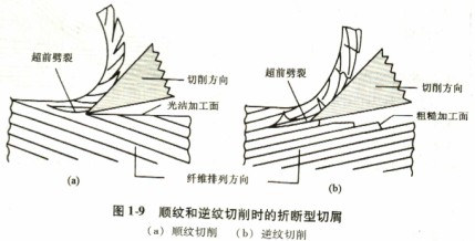 意甲直播cctv5