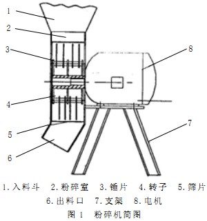 意甲直播cctv5