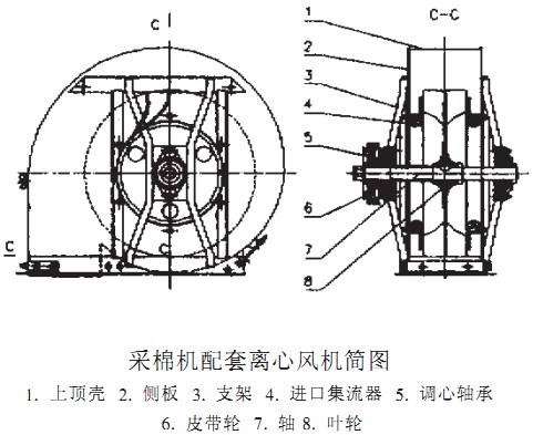 意甲直播cctv5