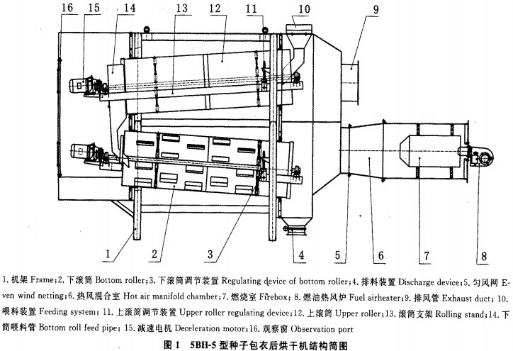 意甲直播cctv5