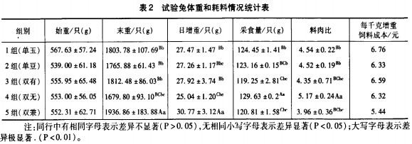 意甲直播cctv5