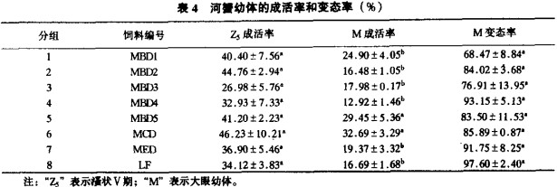 意甲直播cctv5