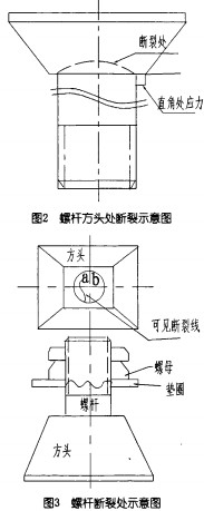 意甲直播cctv5