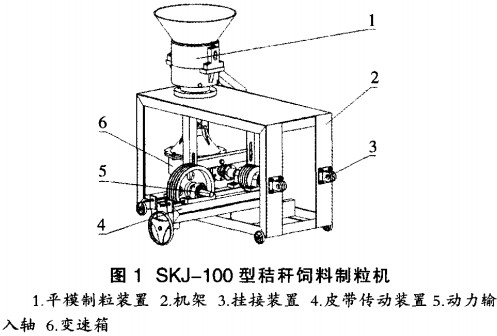 意甲直播cctv5