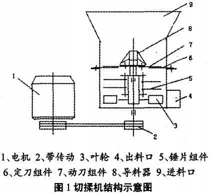 意甲直播cctv5