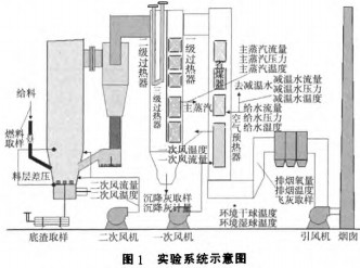 意甲直播cctv5