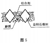 意甲直播cctv5