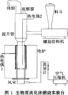 意甲直播cctv5