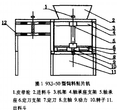 意甲直播cctv5