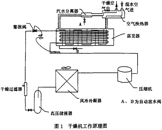 意甲直播cctv5