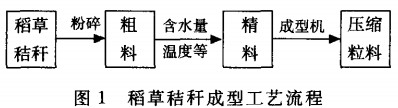 意甲直播cctv5