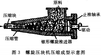 意甲直播cctv5