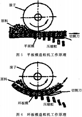 意甲直播cctv5