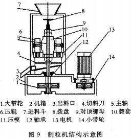 意甲直播cctv5