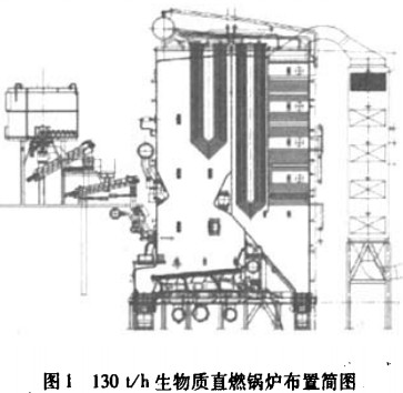 意甲直播cctv5