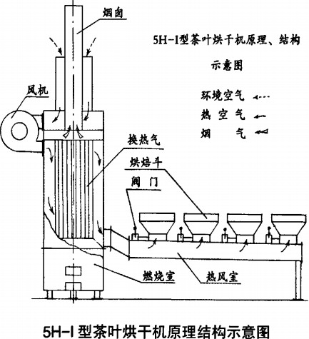 意甲直播cctv5