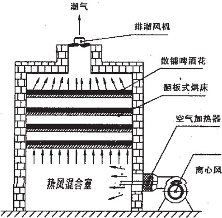 意甲直播cctv5