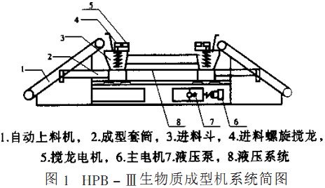 意甲直播cctv5