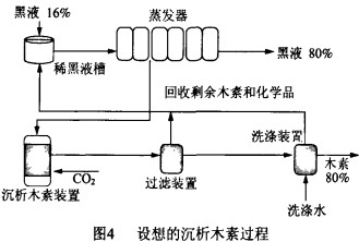 意甲直播cctv5