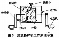 意甲直播cctv5