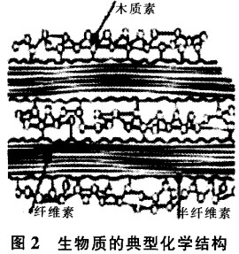 意甲直播cctv5