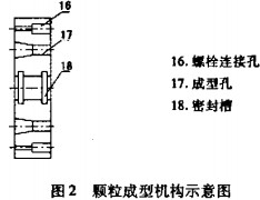 意甲直播cctv5