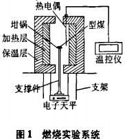 意甲直播cctv5