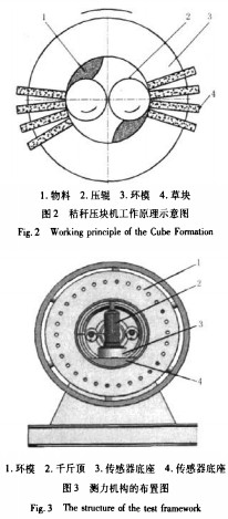 意甲直播cctv5