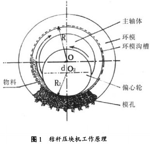 意甲直播cctv5