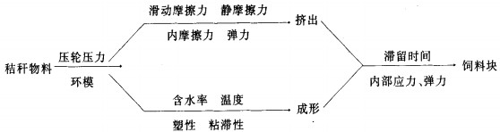 意甲直播cctv5