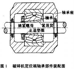 意甲直播cctv5