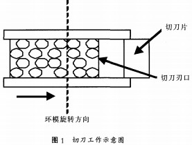 意甲直播cctv5