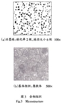 意甲直播cctv5