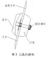 意甲直播cctv5