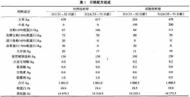 意甲直播cctv5