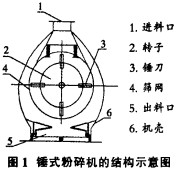 意甲直播cctv5