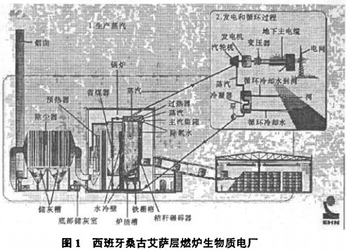 意甲直播cctv5