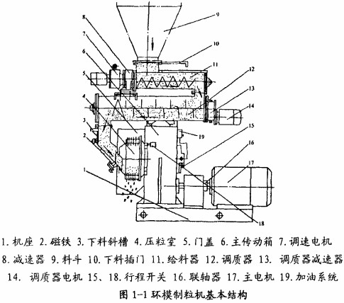 意甲直播cctv5