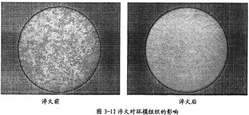 意甲直播cctv5