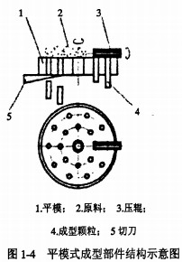 意甲直播cctv5