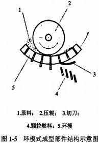 意甲直播cctv5